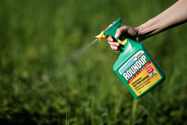 roundup bouteille verte