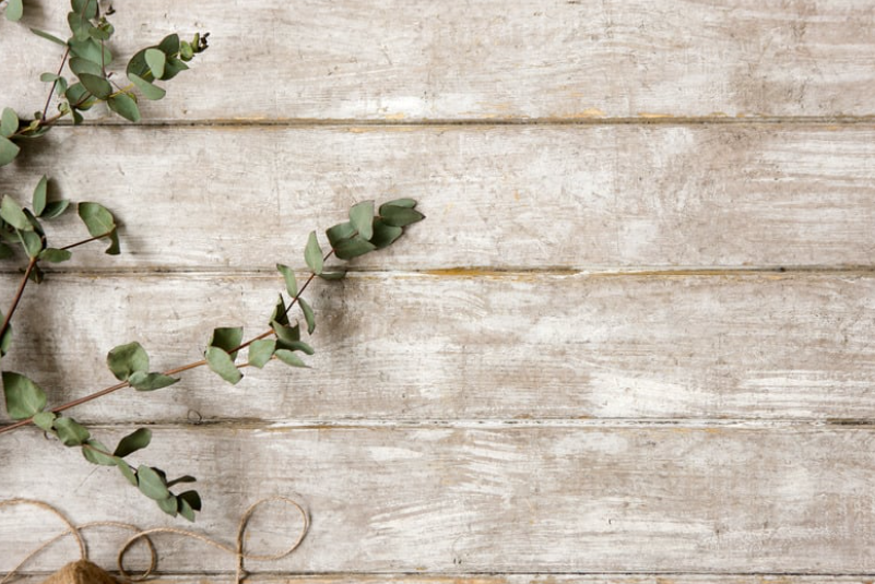 Peut-on brûler du bois de laurier dans un insert