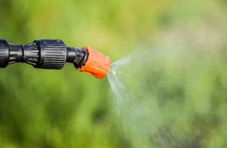 sulfate de cuivre désherbant