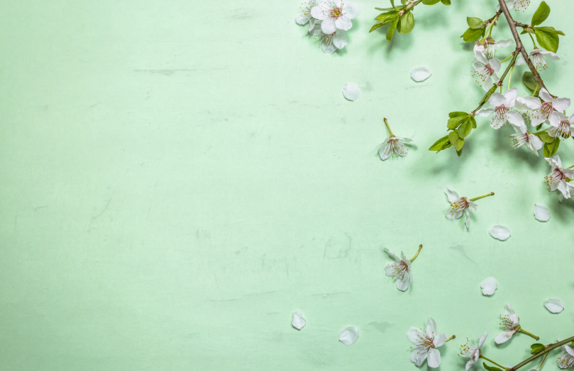 Lire la suite à propos de l’article Décorer son intérieur avec la couleur vert d&rsquo;eau