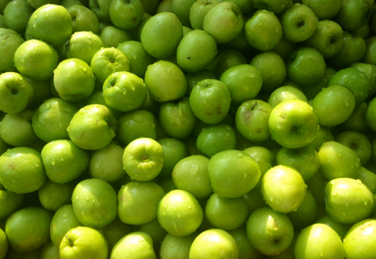 Ziziphus mauritiana fruit en z