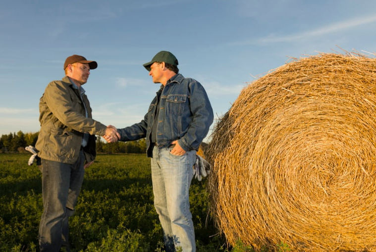 You are currently viewing Agriconvivial : le forum pour agriculteurs qui s&rsquo;entraident
