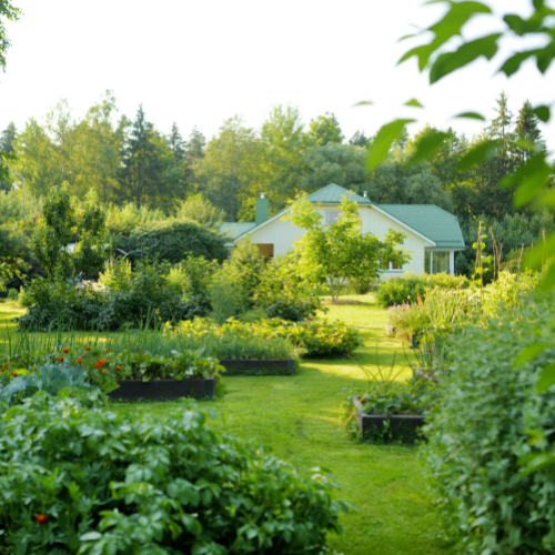 Conseils jardinage zen garden.org : les 12 choses à faire