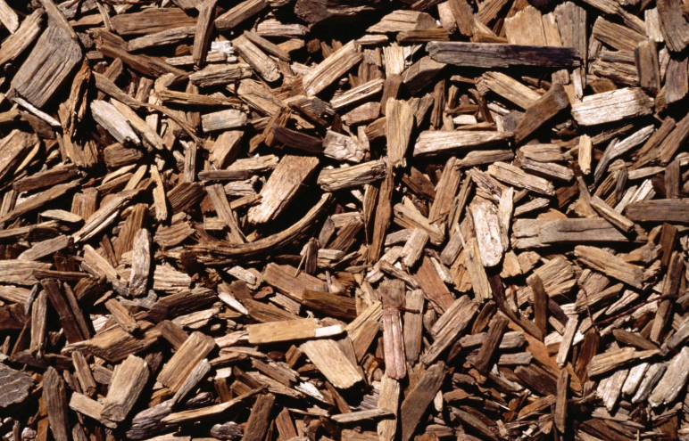copeaux de bois au jardin