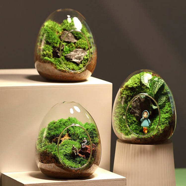 Terrarium décoratif