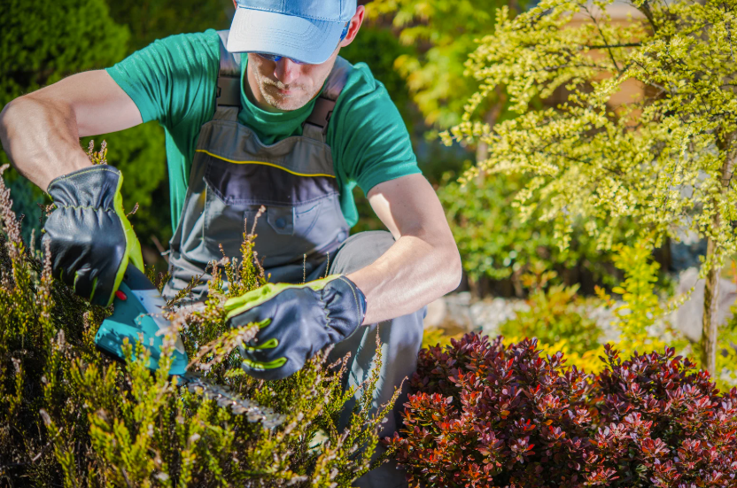 Stootie.com aide en ligne