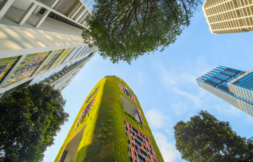 You are currently viewing Co Valence Énergie : transition pour une planète saine