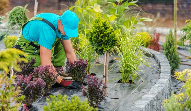 Aménagement du Jardin : Guide Expert pour Transformer votre Extérieur en 2026
