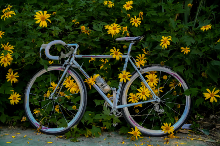 velo jardin