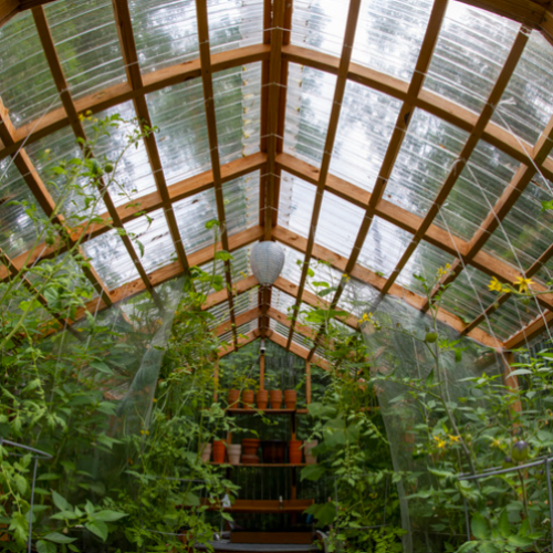 Fabriquer une serre de jardin en bois : les étapes à prévoir avant de se lancer