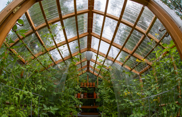 Fabriquer une serre de jardin en bois : les étapes à prévoir avant de se lancer
