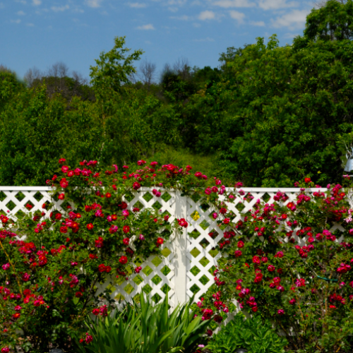 Combien coûte une clôture de jardin à installer ?