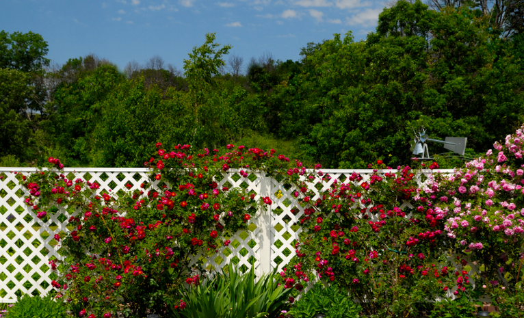Combien coûte une clôture de jardin à installer